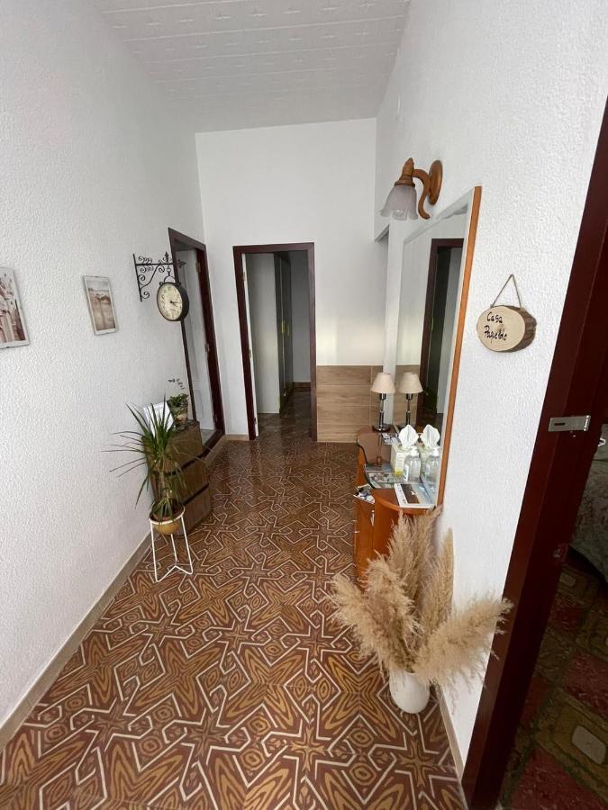 Villa Casa AnY Amposta Exterior foto